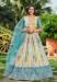 Picture of Stunning Chiffon Silver Lehenga Choli