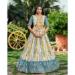 Picture of Stunning Chiffon Silver Lehenga Choli