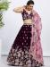 Picture of Beautiful Georgette & Net Saddle Brown Lehenga Choli