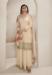 Picture of Chiffon Burly Wood Straight Cut Salwar Kameez