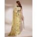 Picture of Beauteous Organza Wheat Saree