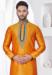 Picture of Splendid Silk Golden Rod Kurtas