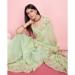 Picture of Enticing Organza Medium Spring Green Saree