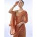 Picture of Marvelous Chiffon & Satin Sienna Saree