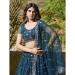 Picture of Charming Net Steel Blue Lehenga Choli