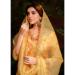 Picture of Alluring Organza Sandy Brown Readymade Salwar Kameez