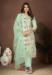 Picture of Organza Medium Spring Green Readymade Salwar Kameez