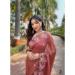 Picture of Beauteous Organza Saddle Brown Saree