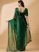 Picture of Fine Organza Sea Green Saree