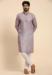 Picture of Amazing Linen Silver Kurtas