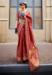 Picture of Delightful Organza Indian Red Saree