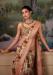 Picture of Sublime Silk Tan Saree