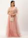 Picture of Georgette & Net & Silk Pink Readymade Lehenga Choli