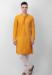 Picture of Alluring Cotton Golden Rod Kurtas