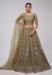 Picture of Gorgeous Net Olive Drab Lehenga Choli