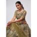 Picture of Gorgeous Net Olive Drab Lehenga Choli