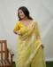 Picture of Bewitching Organza Khaki Saree