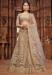 Picture of Marvelous Net Beige Lehenga Choli