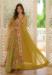Picture of Resplendent Georgette Spring Green Readymade Gown