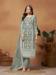 Picture of Beauteous Organza Grey Straight Cut Salwar Kameez