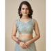 Picture of Nice Net Dark Sea Green Saree