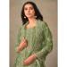 Picture of Organza Dark Olive Green Straight Cut Salwar Kameez