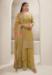 Picture of Pretty Chiffon Peru Straight Cut Salwar Kameez