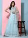 Picture of Well Formed Net Light Steel Blue Readymade Gown