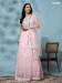 Picture of Enticing Net Thistle Readymade Gown