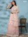 Picture of Delightful Net Tan Readymade Gown