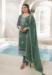 Picture of Organza Medium Sea Green Straight Cut Salwar Kameez