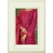 Picture of Comely Chiffon Crimson Straight Cut Salwar Kameez