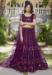 Picture of Fascinating Net Purple Lehenga Choli