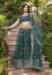 Picture of Ideal Net Dark Slate Grey Lehenga Choli