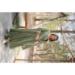 Picture of Grand Georgette Dark Olive Green Readymade Gown