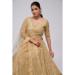 Picture of Nice Net Bisque Lehenga Choli