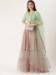 Picture of Georgette & Silk Rosy Brown Readymade Lehenga Choli