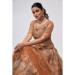 Picture of Stunning Net Chocolate Lehenga Choli