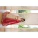 Picture of Resplendent Georgette Sea Shell Lehenga Choli