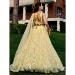 Picture of Good Looking Net Pale Golden Rod Lehenga Choli