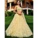 Picture of Good Looking Net Pale Golden Rod Lehenga Choli