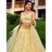 Picture of Good Looking Net Pale Golden Rod Lehenga Choli