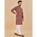 Picture of Nice Cotton Sienna Kurtas