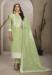 Picture of Organza Dark Khaki Straight Cut Salwar Kameez