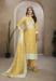 Picture of Bewitching Organza Khaki Straight Cut Salwar Kameez