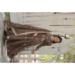 Picture of Exquisite Chiffon Burly Wood Readymade Gown