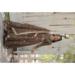 Picture of Exquisite Chiffon Burly Wood Readymade Gown