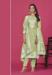 Picture of Organza Dark Khaki Straight Cut Salwar Kameez