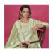 Picture of Organza Dark Khaki Straight Cut Salwar Kameez