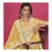 Picture of Fascinating Organza Peru Straight Cut Salwar Kameez